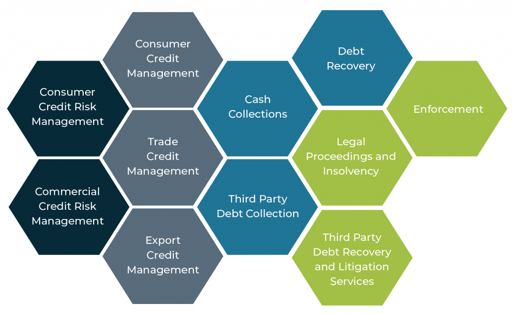 Technical Specialisms of the Credit Management and Debt Collections Industry