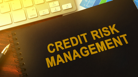 Credit risk management banner.png